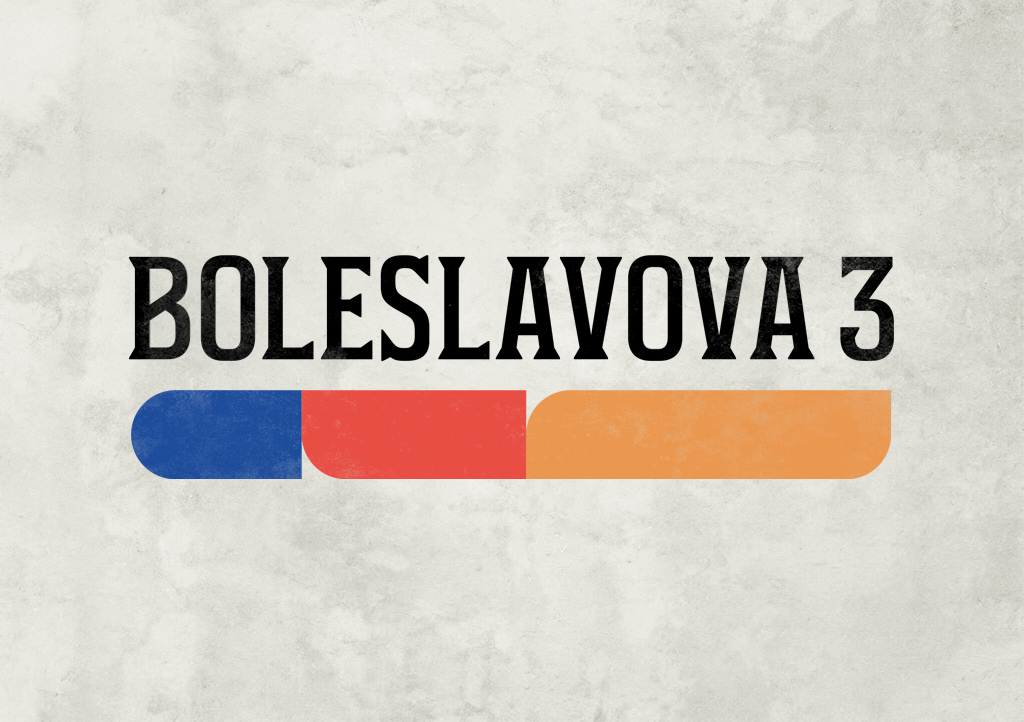 Boleslavova 3